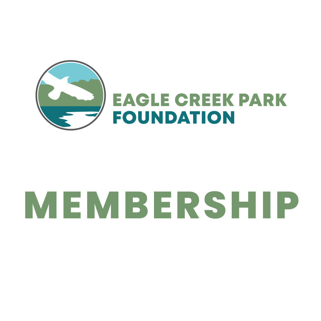 Passes & Memberships