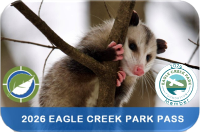 Foundation Park Pass